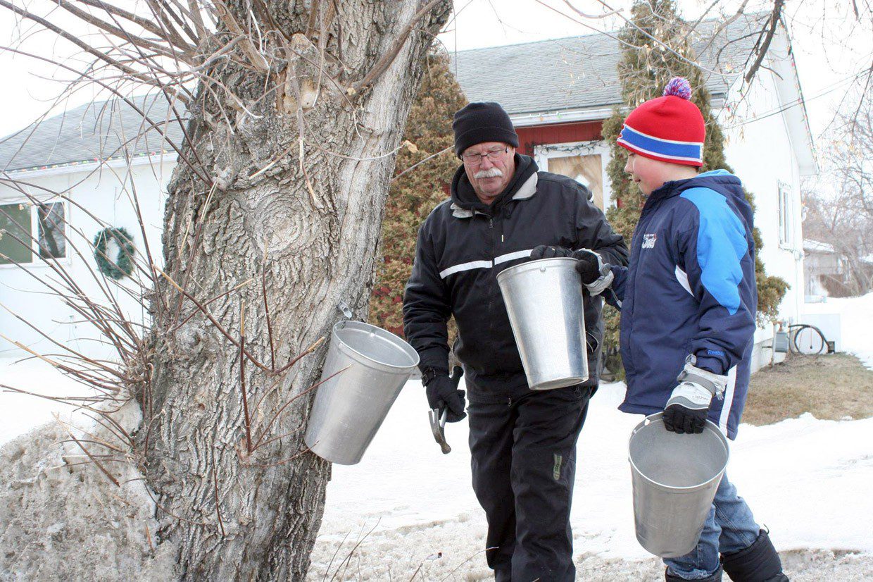 Saint-Pierre-Jolys se prépare pour son Festival annuel des sucres. 