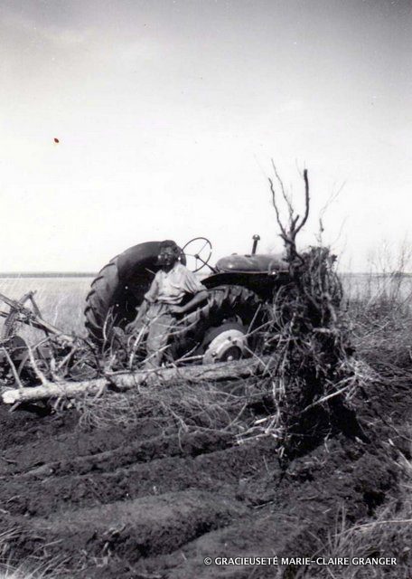 Hercule Granger sur sa terre, à Fatima, en 1949.