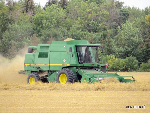 Pour les céréaliculteurs, la fin de l’ancienne CCB apporte du pour et du contre. Les témoignages de Raymond Bérard, Luc Labossière, Dan Mazier, Normand Mabon et Alain Robidoux.