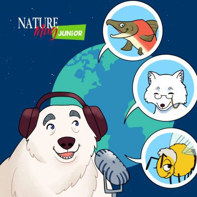 Nature Mag Junior