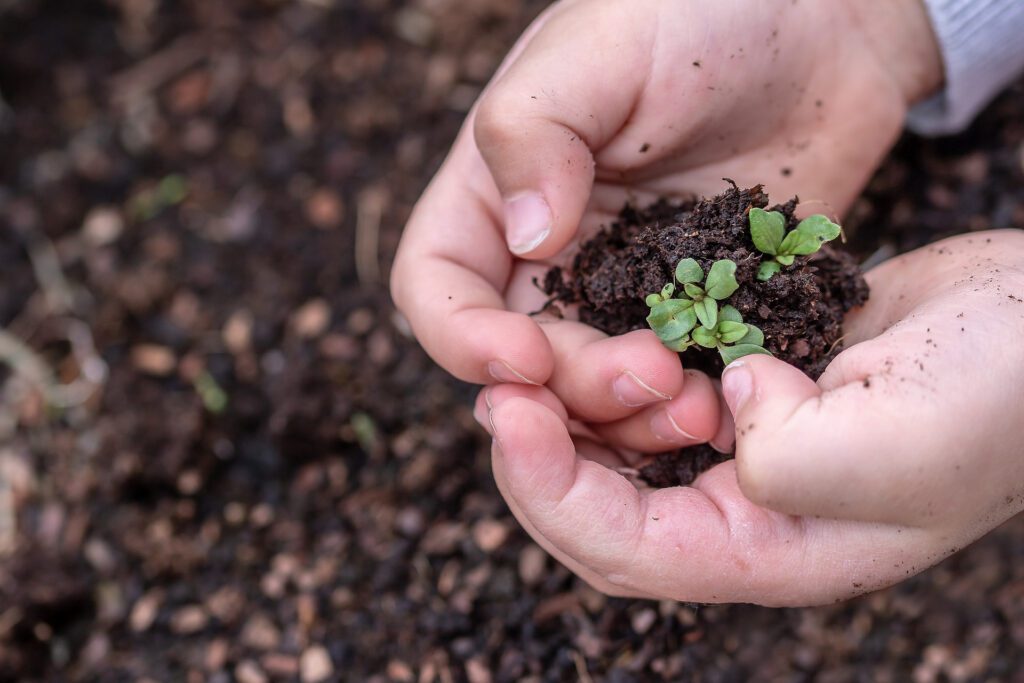 Un nouveau fonds mondial pour la biodiversité visant à accélérer la protection de 30% de la planète d'ici 2030, objectifs fixés lors de la COP15 de l'année dernière, a été ratifié jeudi par la communauté internationale.