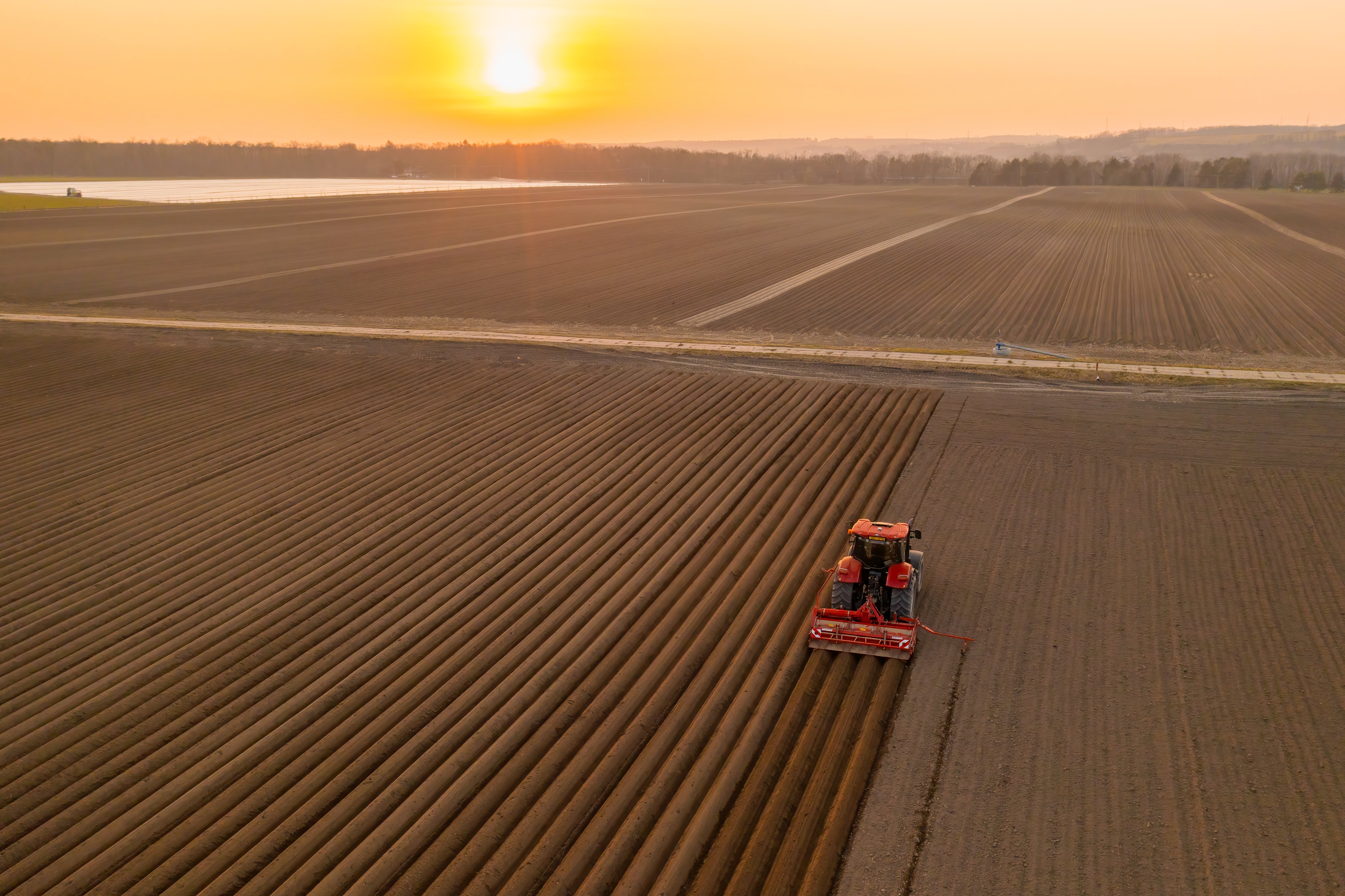 agriculture