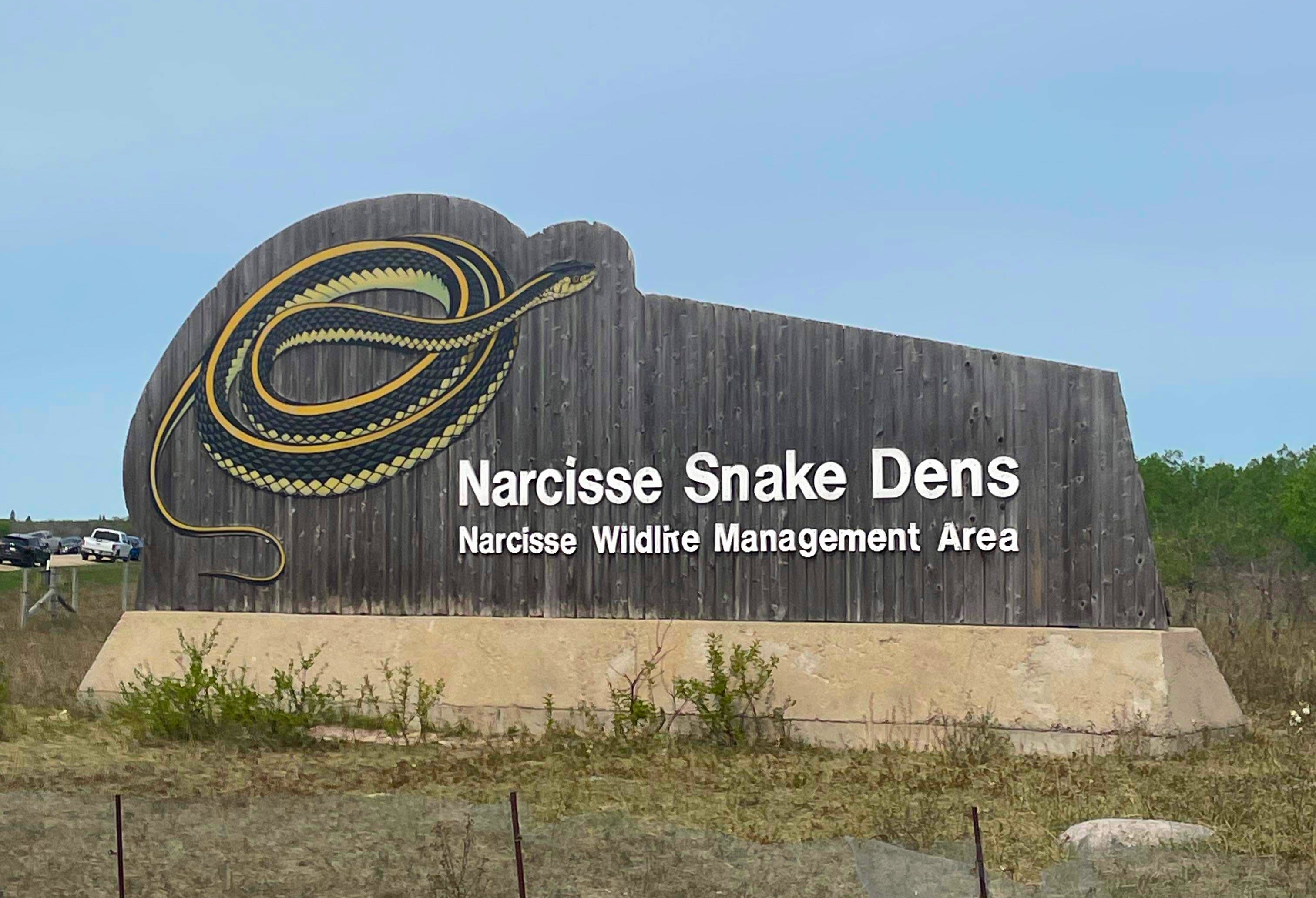 Narcisse Snake Dens