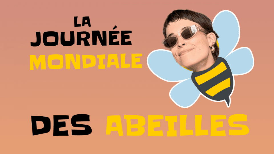 abeilles