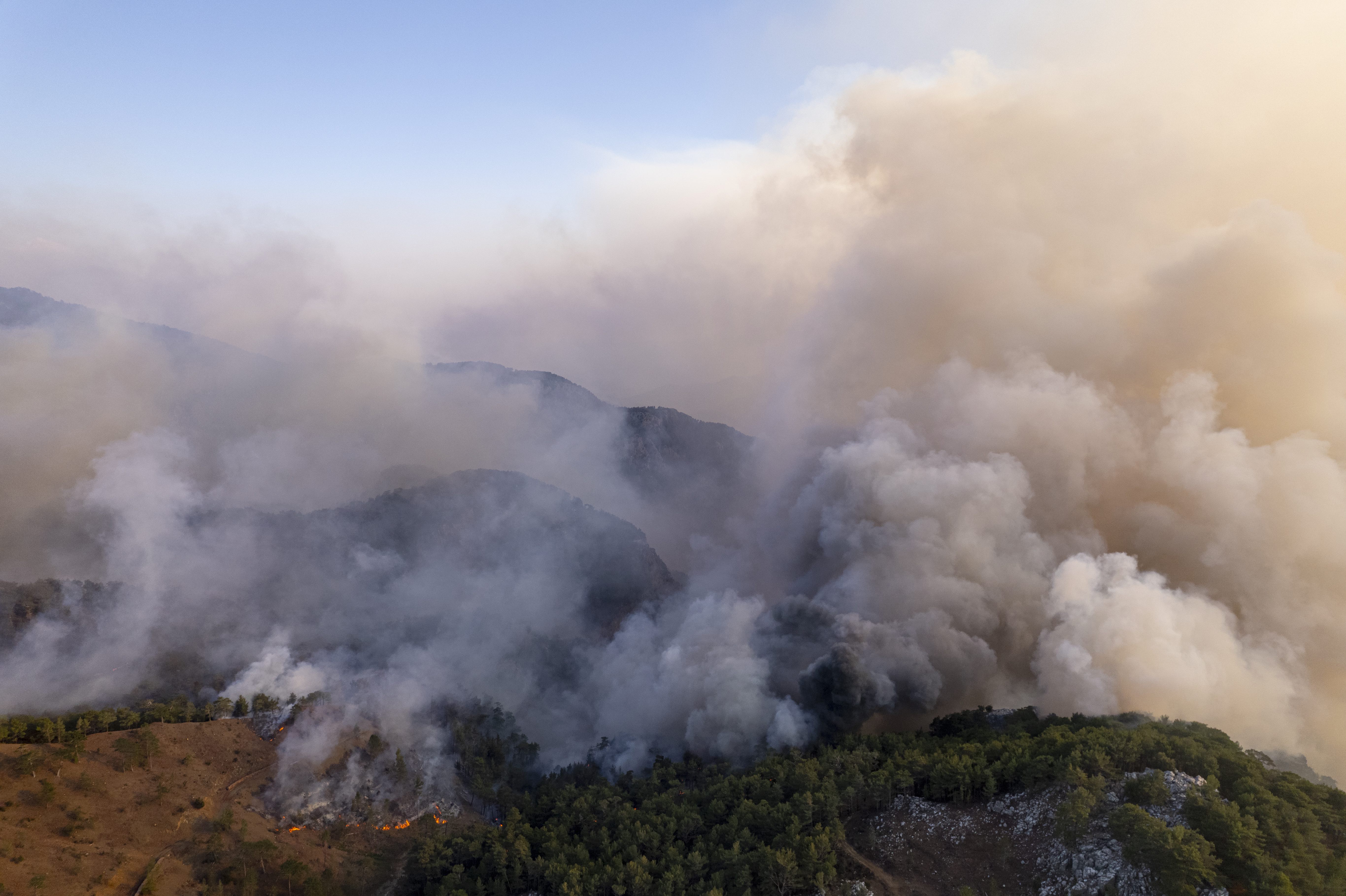 incendie forêt