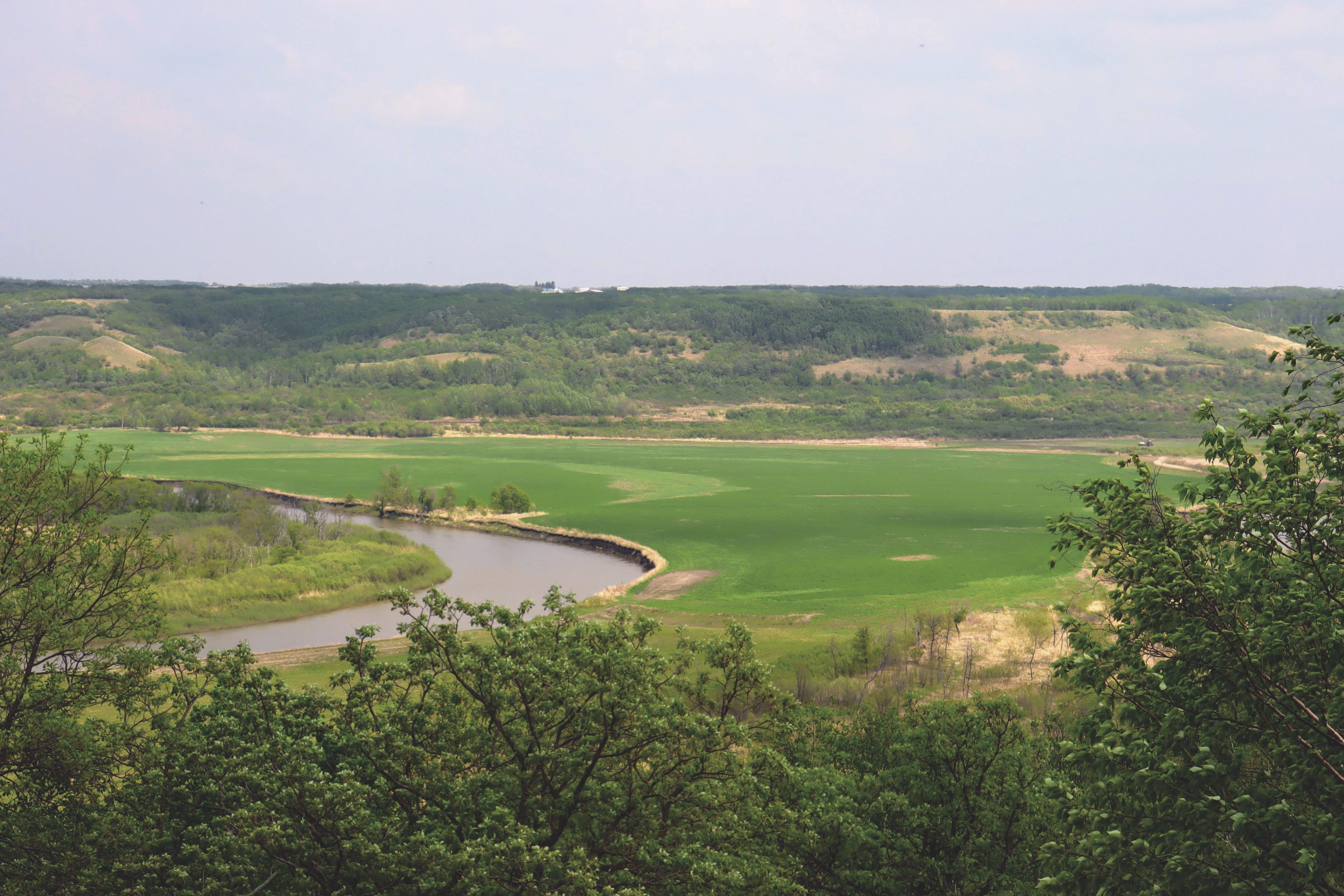 FORT ELLICE