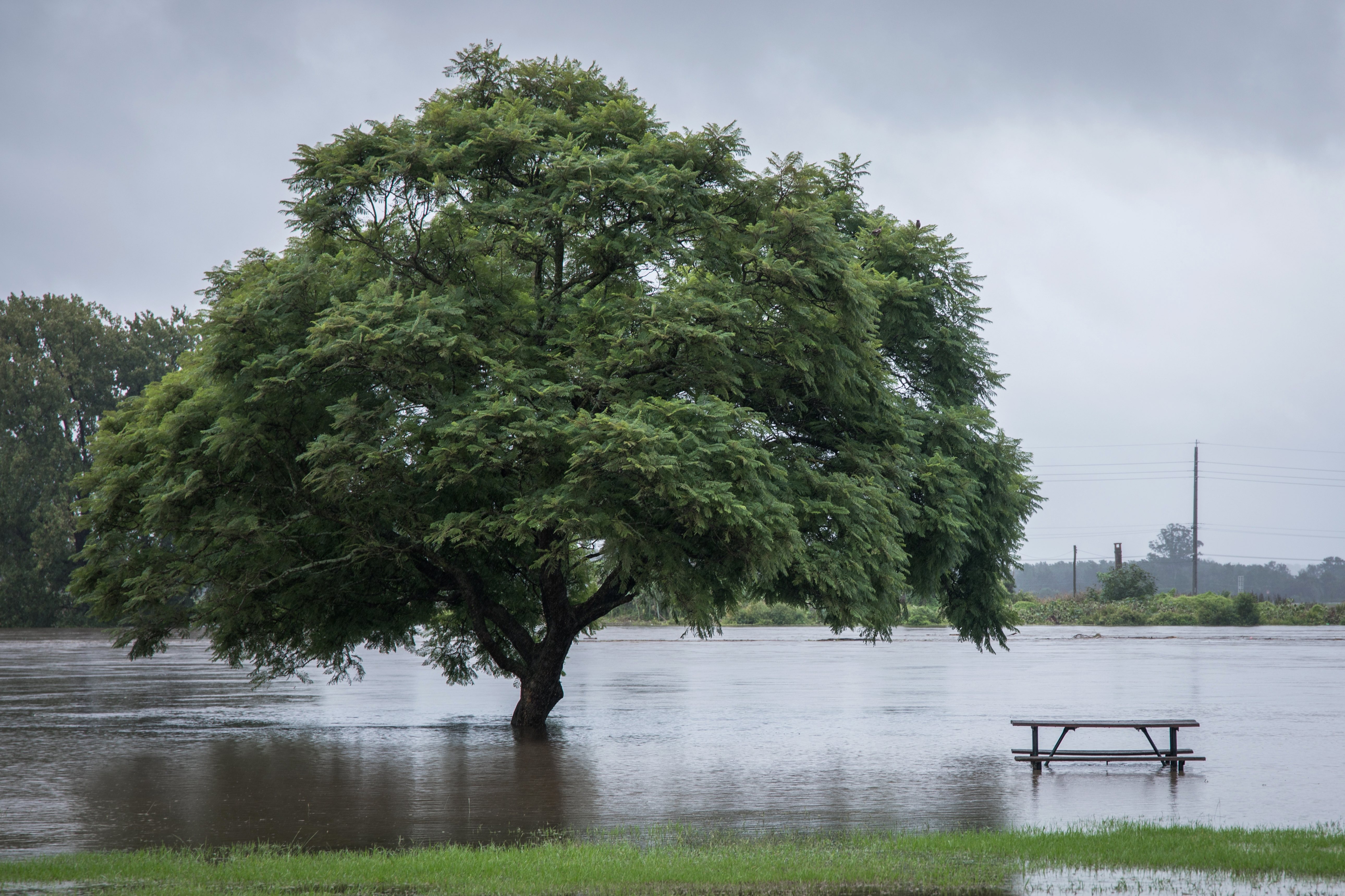 inondations