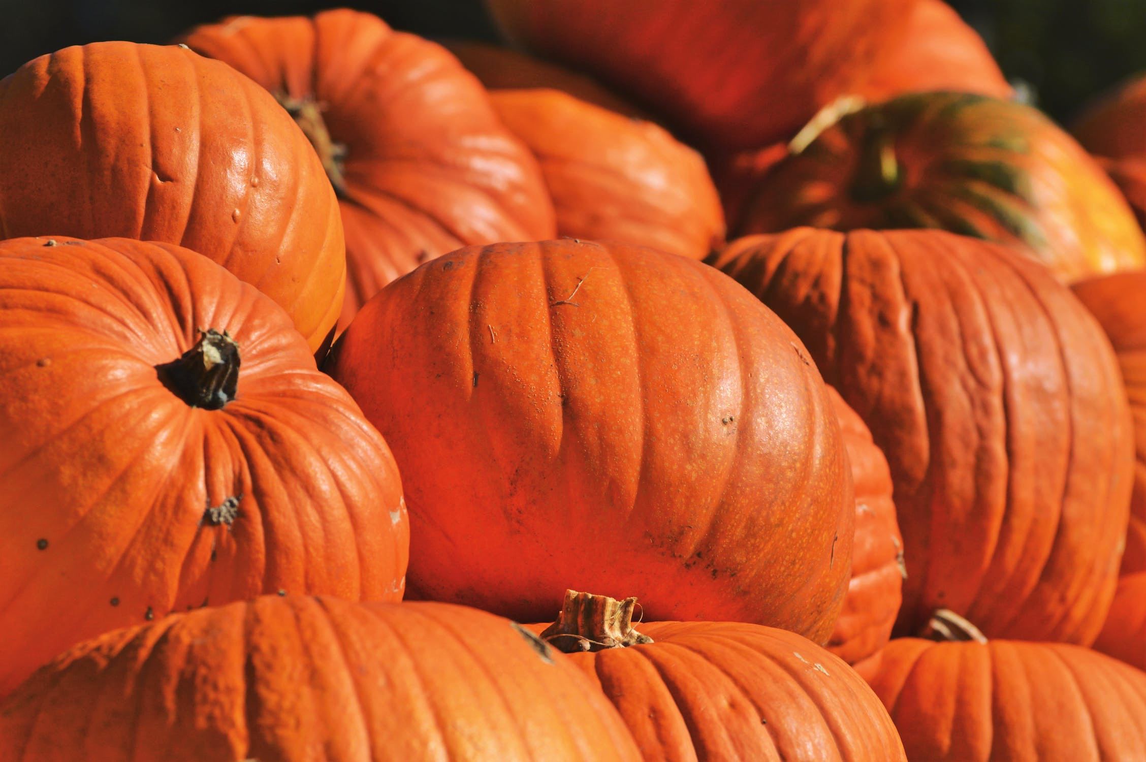 citrouilles