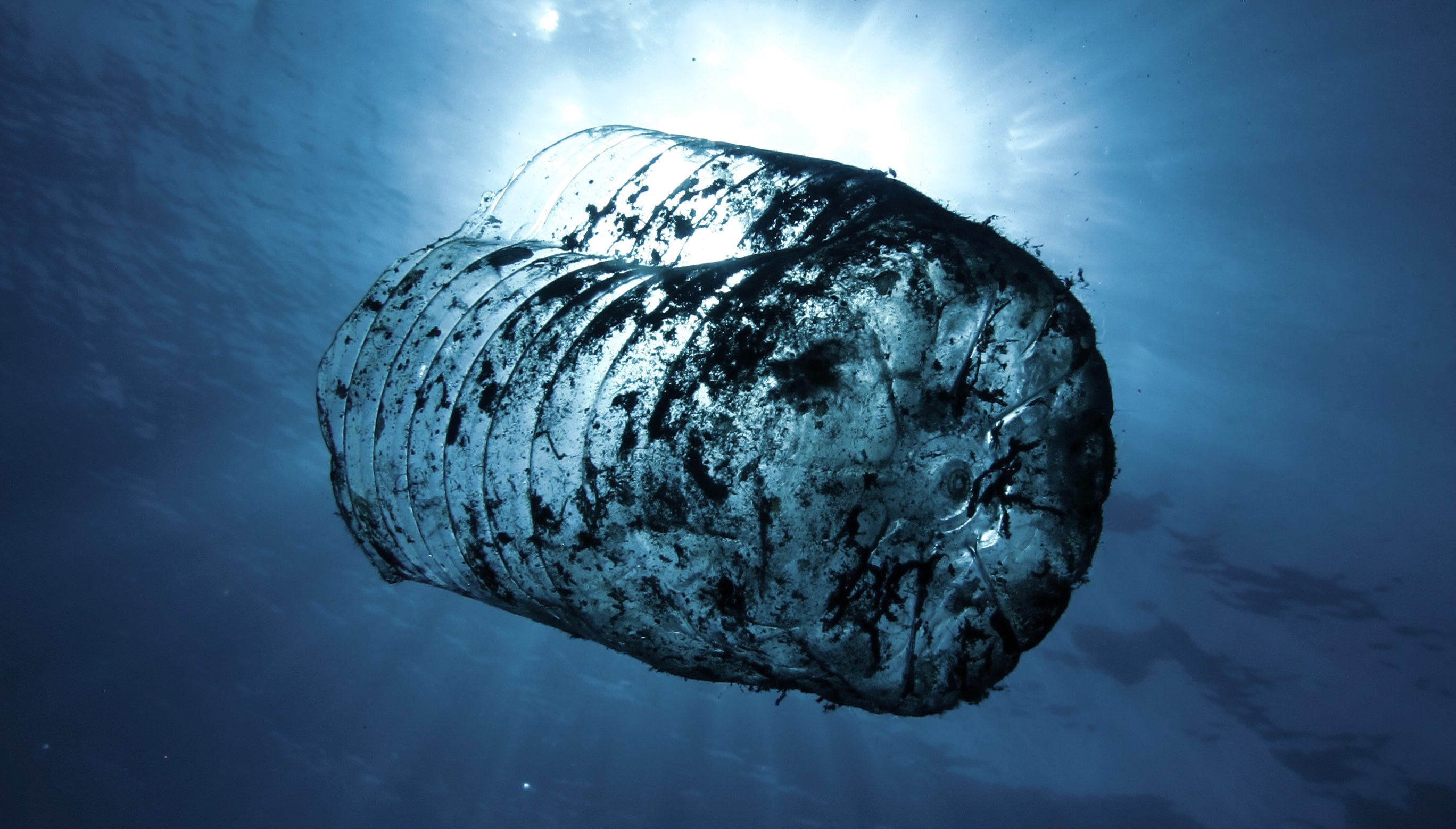 pollution plastique
