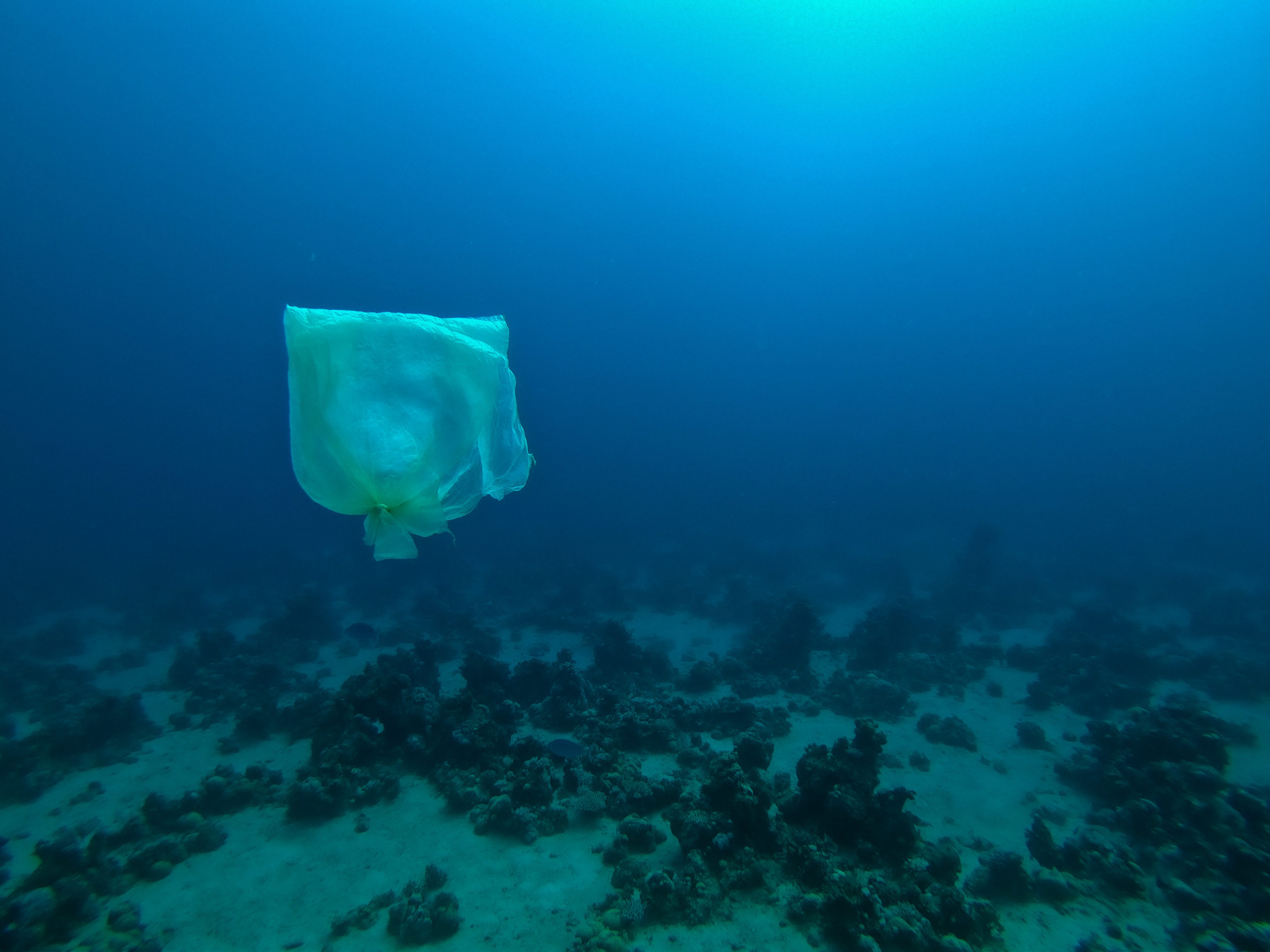 La Cour fédérale du Canada a statué, jeudi 16 novembre, qu'Ottawa n'avait pas le droit de désigner tous les articles en plastique comme toxique. (photo : envato elements)