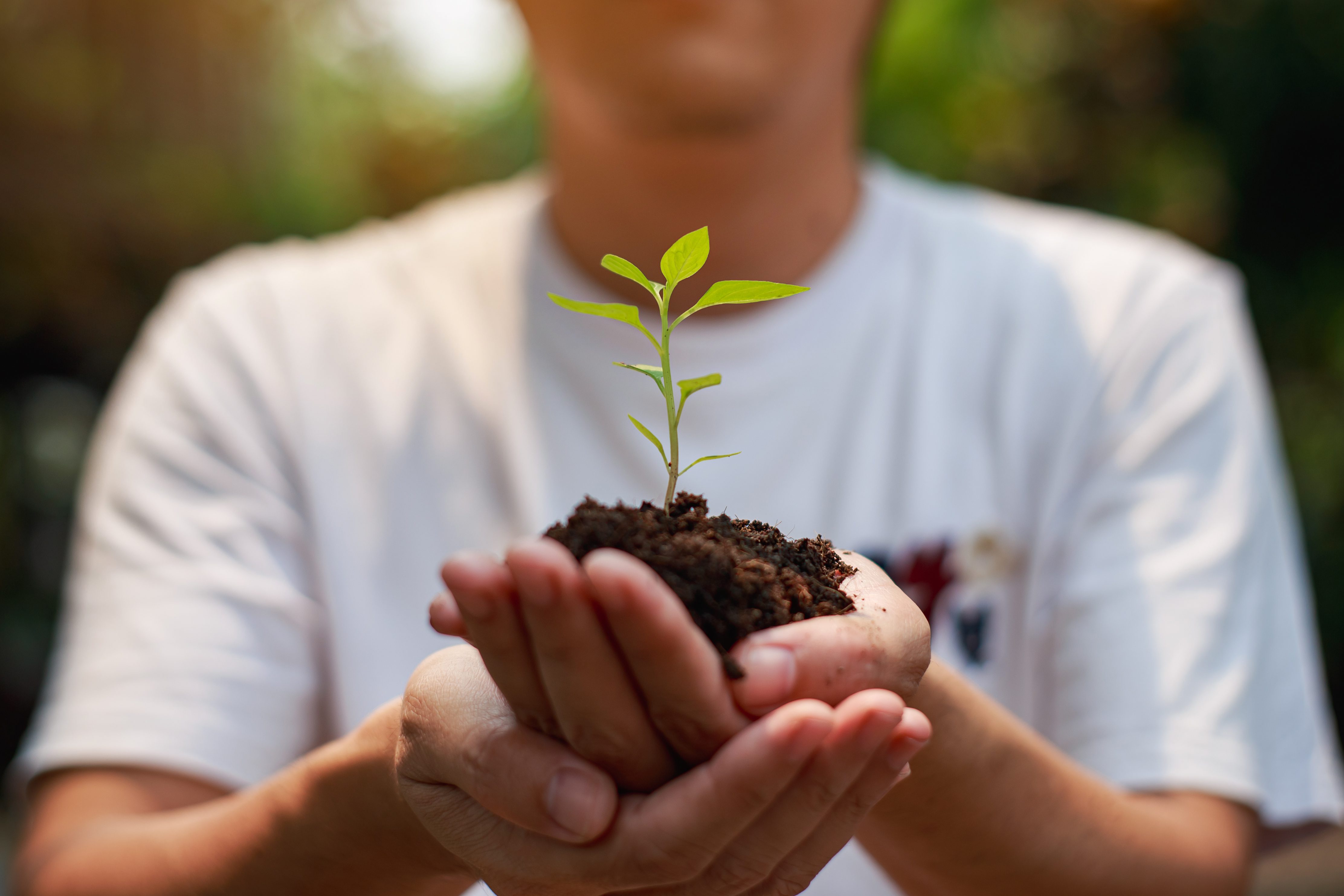 la formation se déroulera à The Leaf, de 8h à 17h. (Photo - Envato elements)