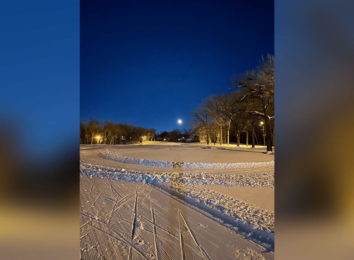 En février 2022 le parc Windsor avait une allure bien différente.