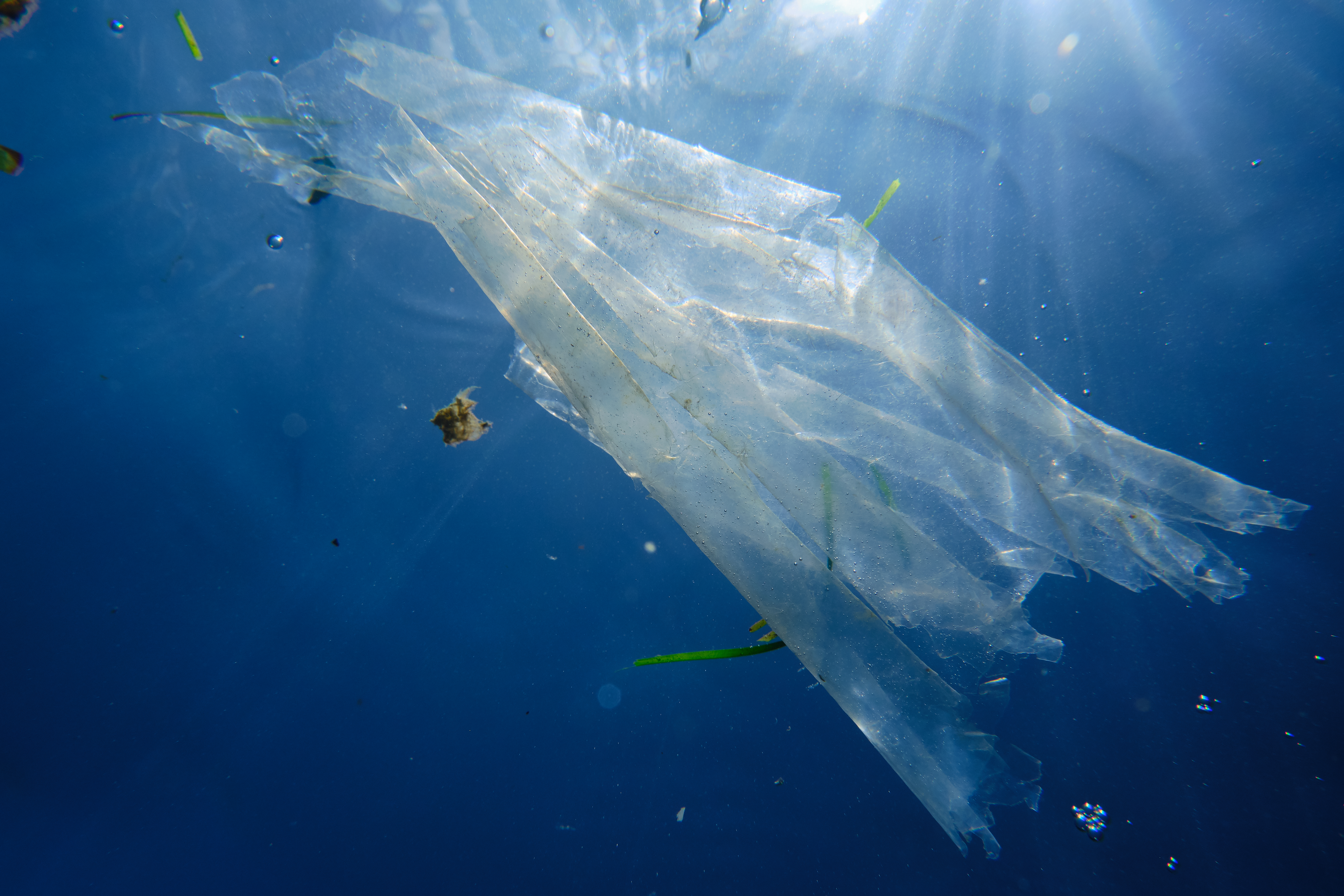 plastique