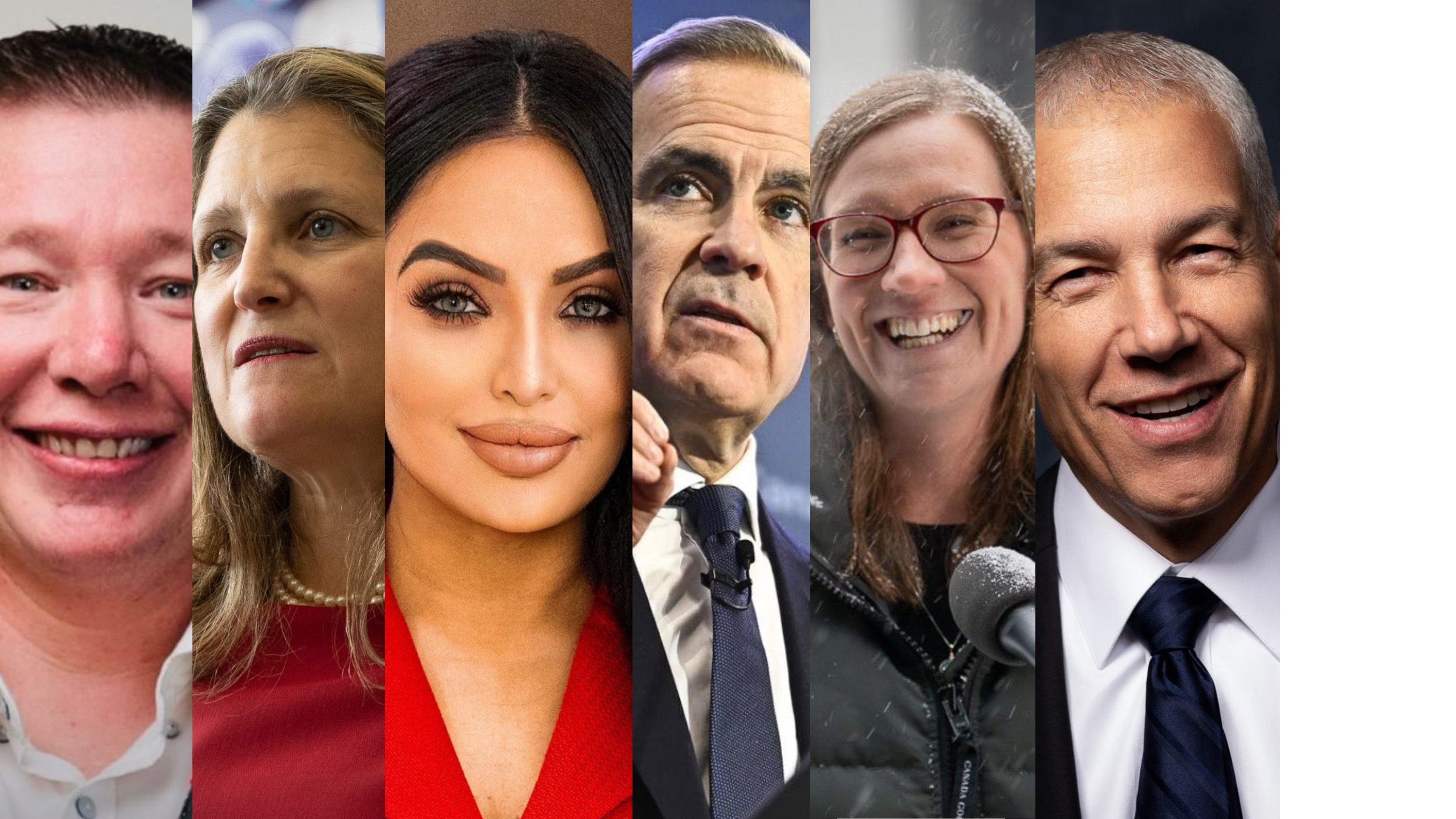 Voici les six candidats retenus par le Parti libéral du Canada.