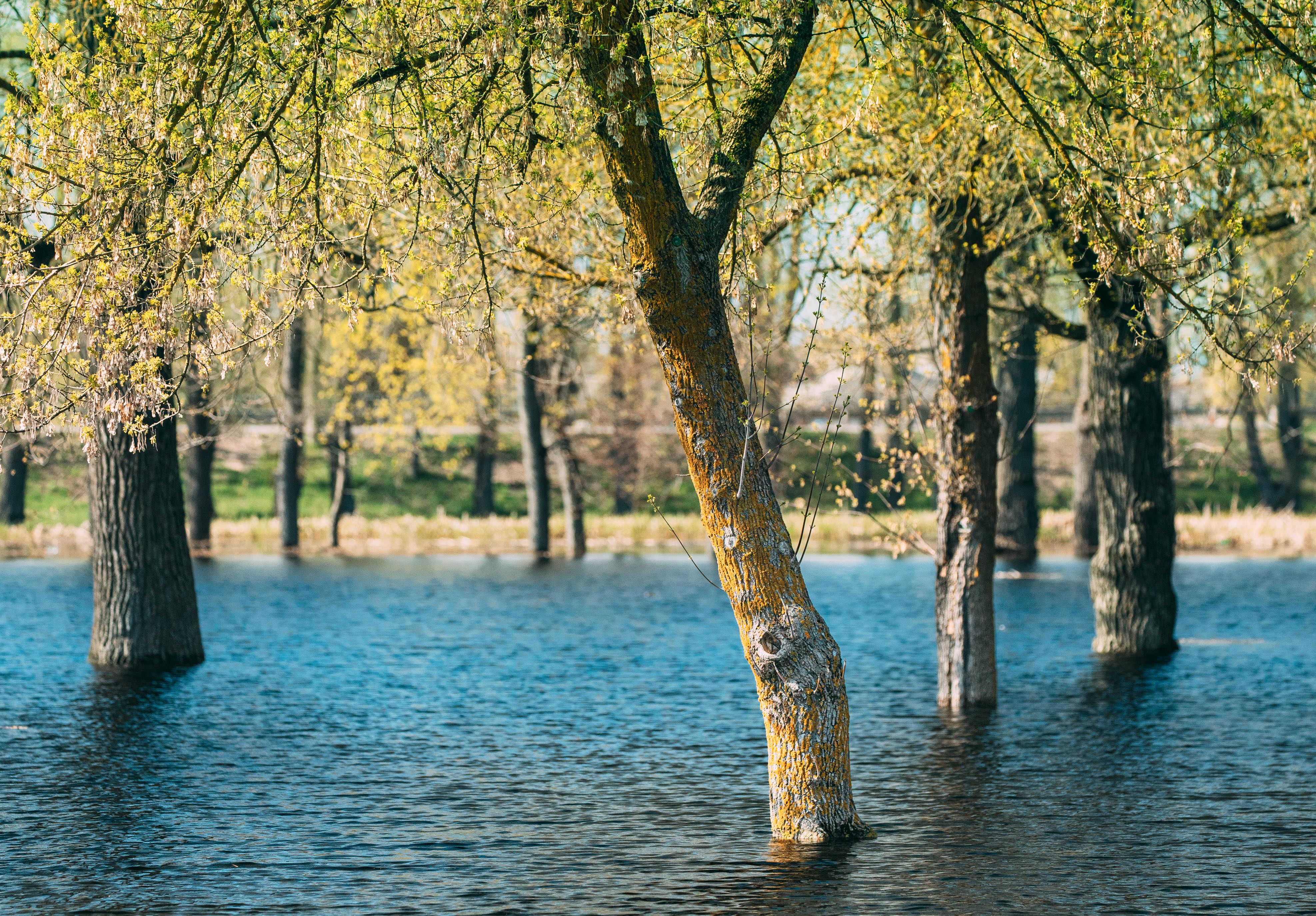 inondations