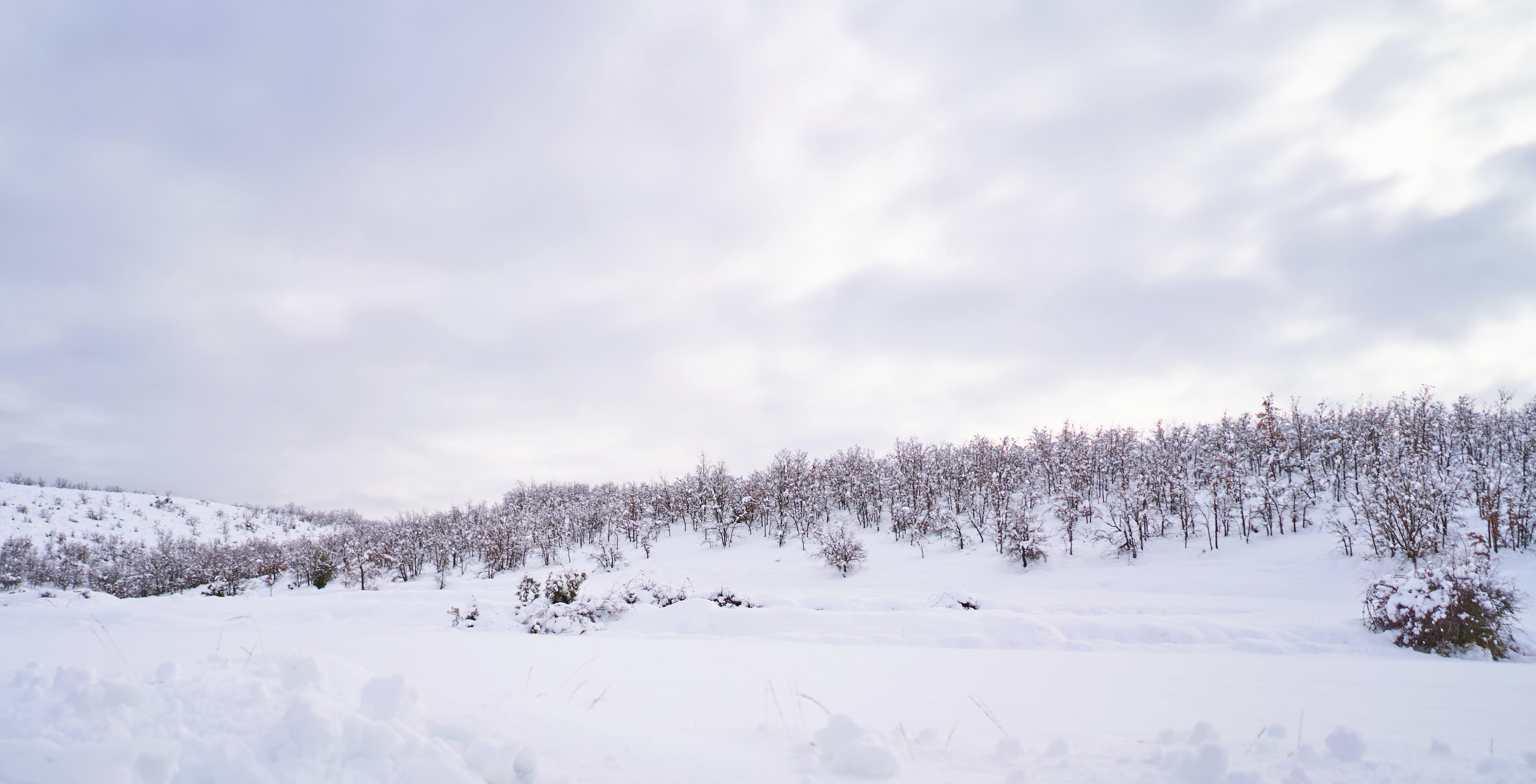 neige