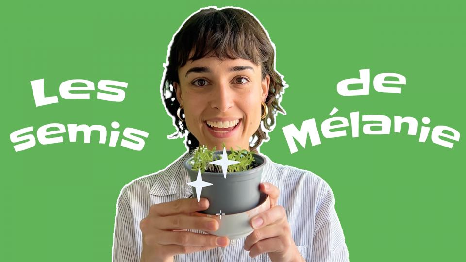 les as de l'info