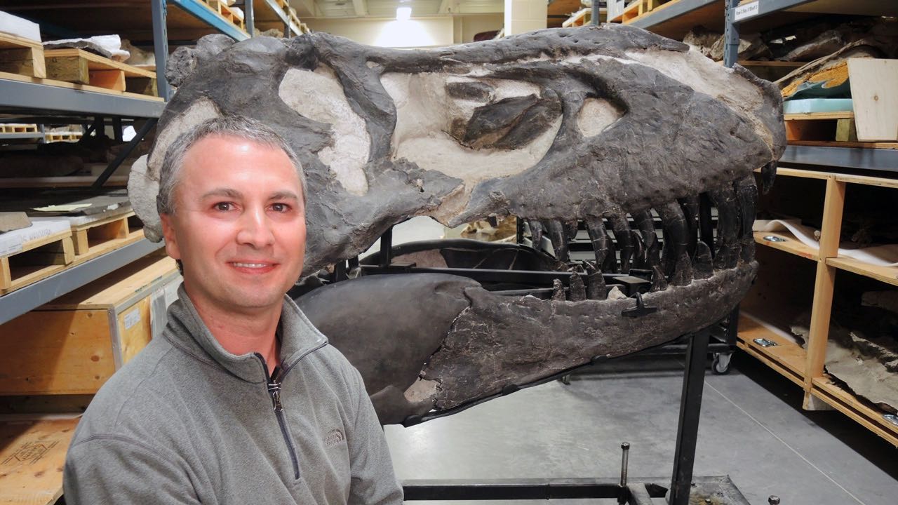François Therrien devant le crâne du tyrannosaure rex surnommé Black Beauty.