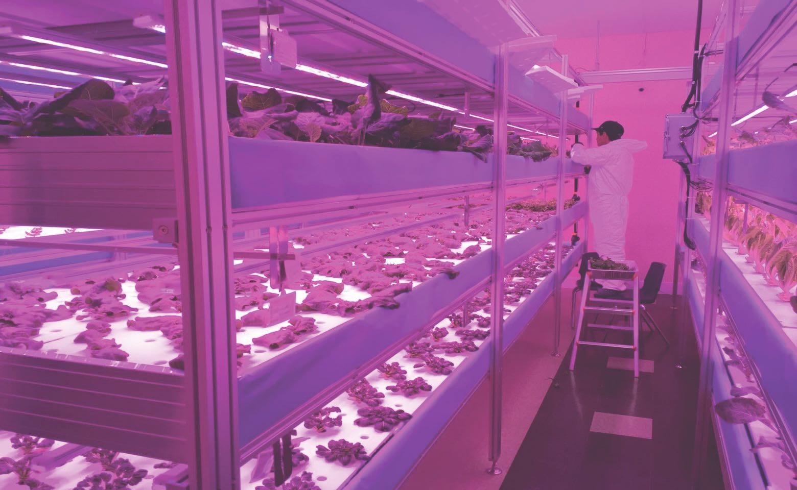 Un aperçu de l’opération SMART-VF au sein de la Nation Cree d’Opaskwayak.