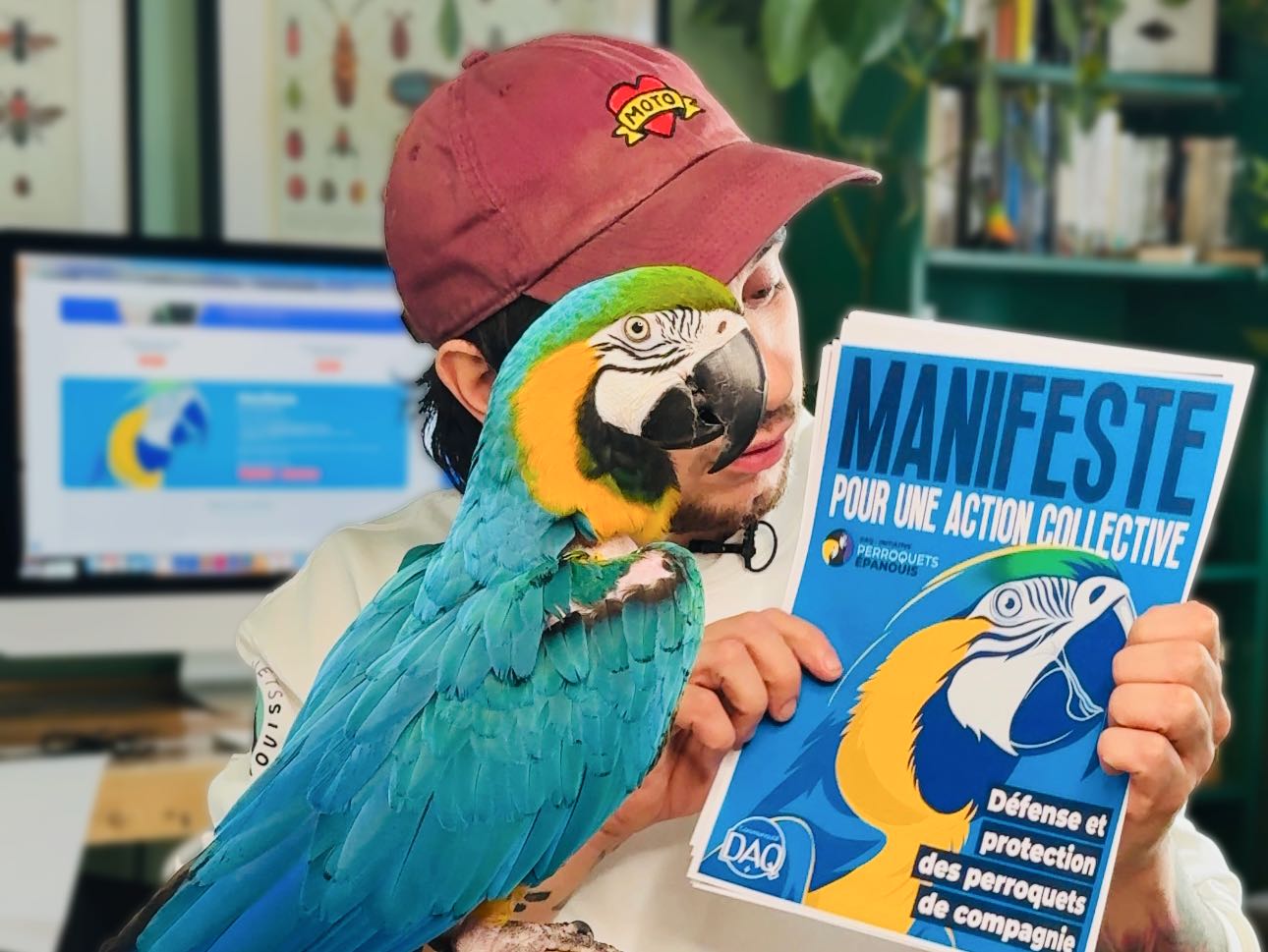 Maxime et son équipe ont même publié un manifeste, soit une déclaration pour la protection des perroquets de compagnie.