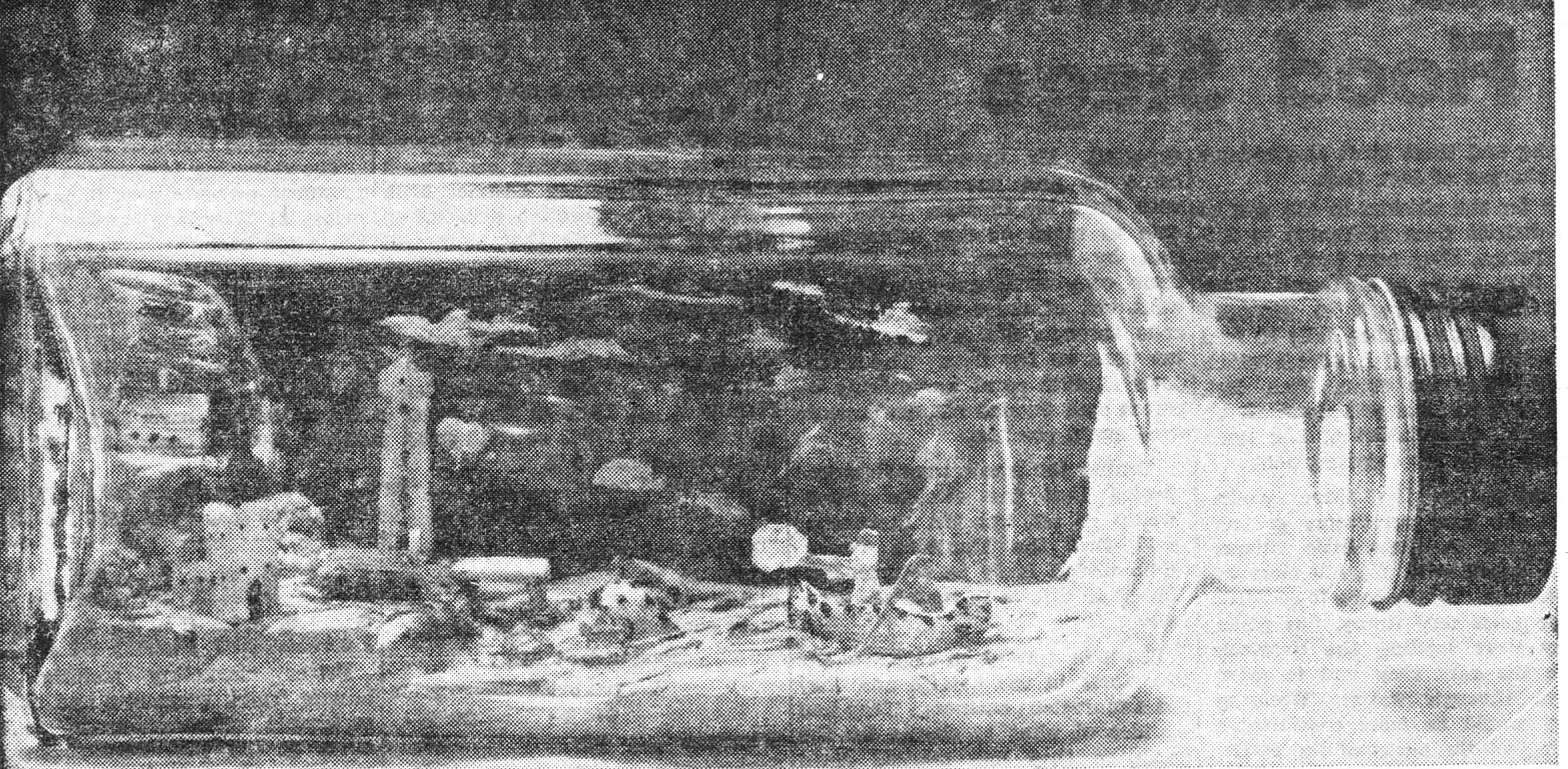 Sous la rubrique Handicraft, photo extraite de la page 10 du THE MANITOBA CO-OPERATOR, du 15 juin 1950. (Photo: Gracieuseté de Réal Bérard)