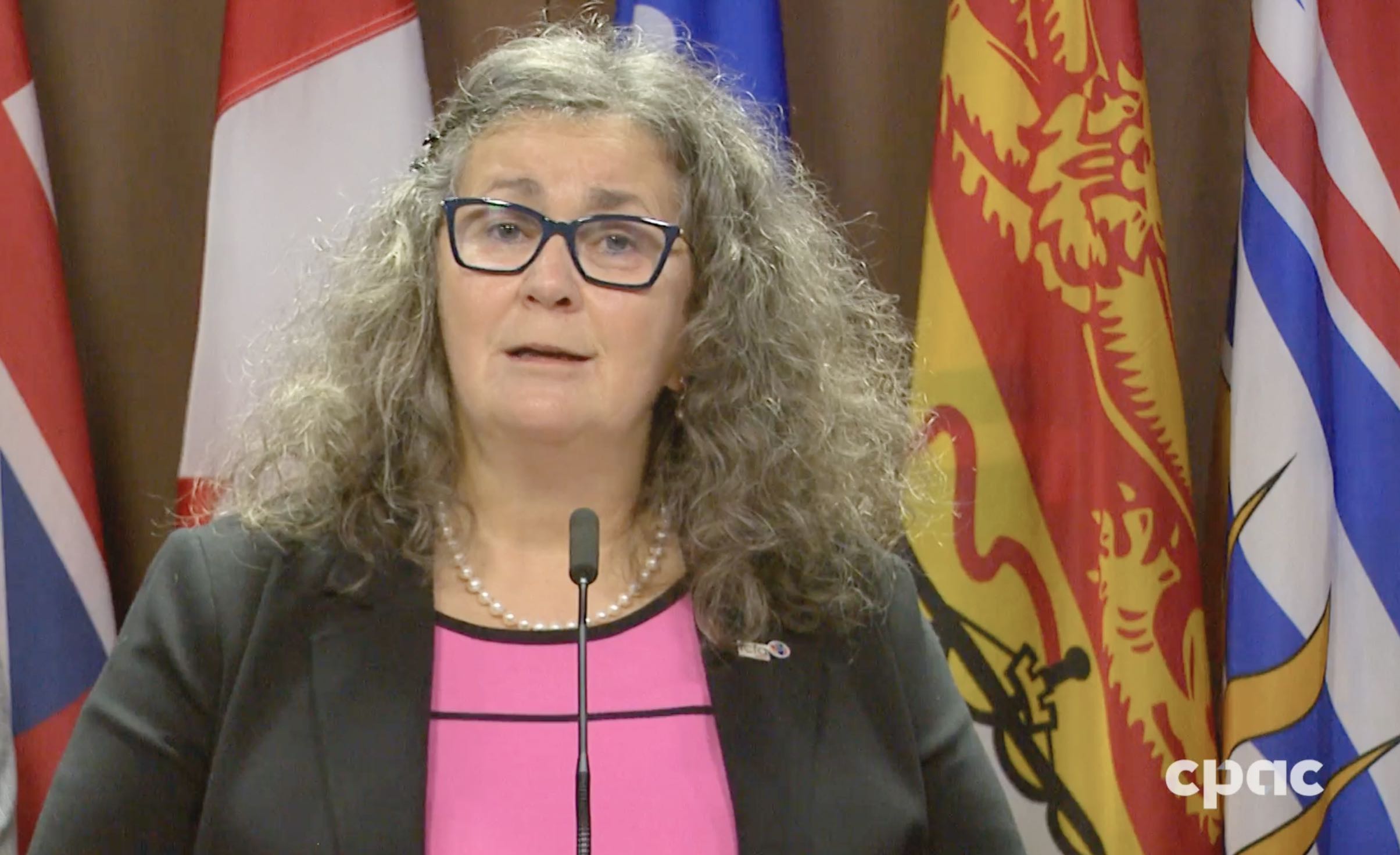 Liane Roy, présidente de la Fédération des communautés francophones et acadienne (FCFA) du Canada.