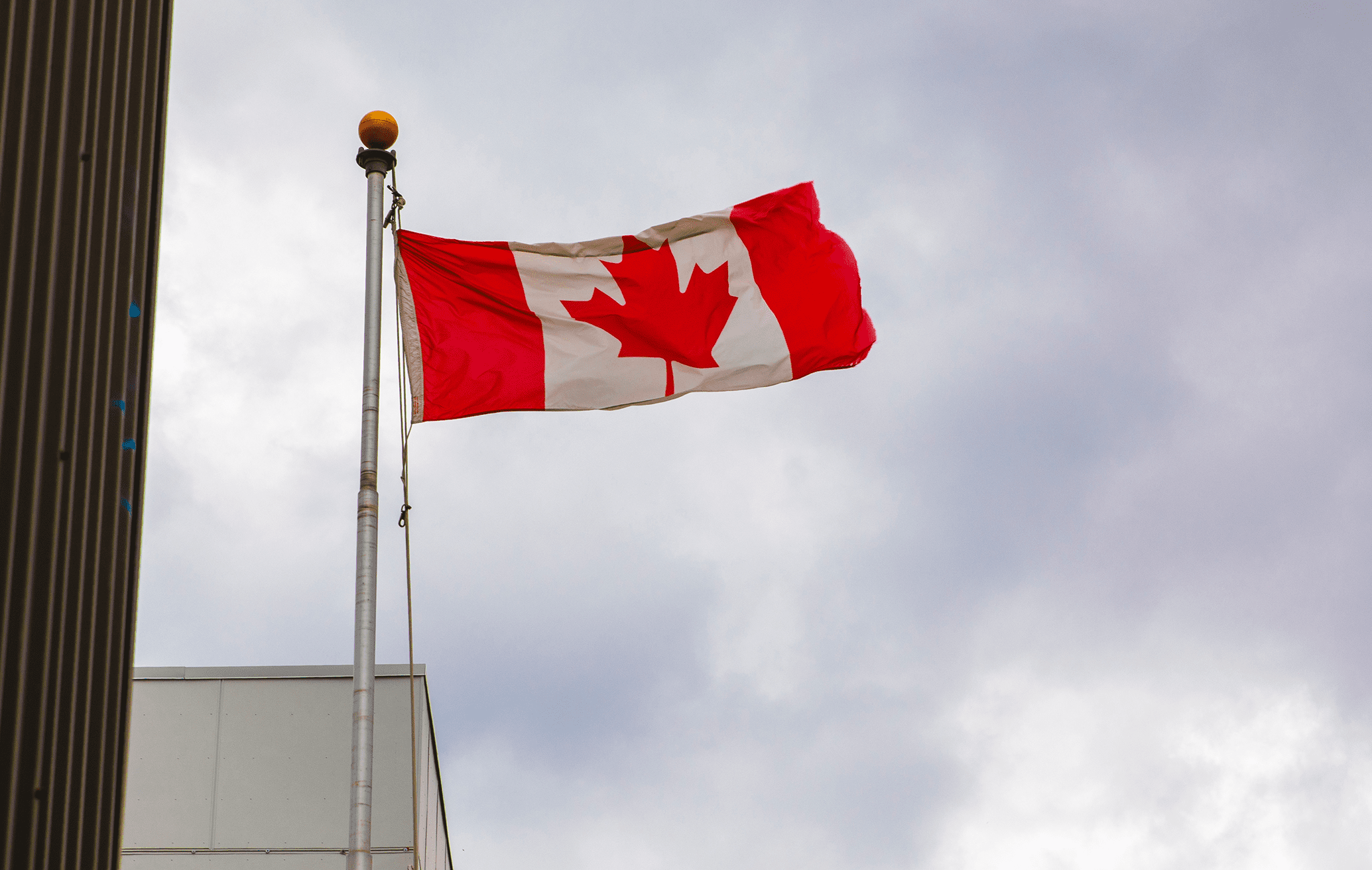 La Fédération canadienne des municipalités (FCM) demande du soutien du gouvernement fédéral.