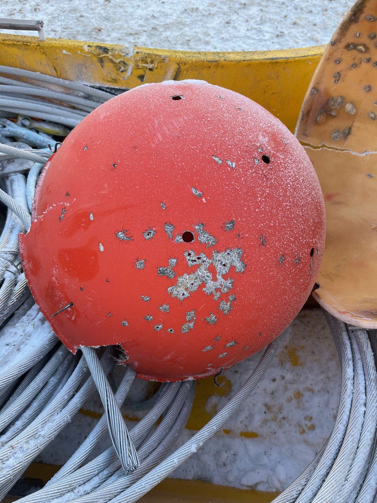 L'une des boules de balisage endommagées par des plombs de fusil de chasse.