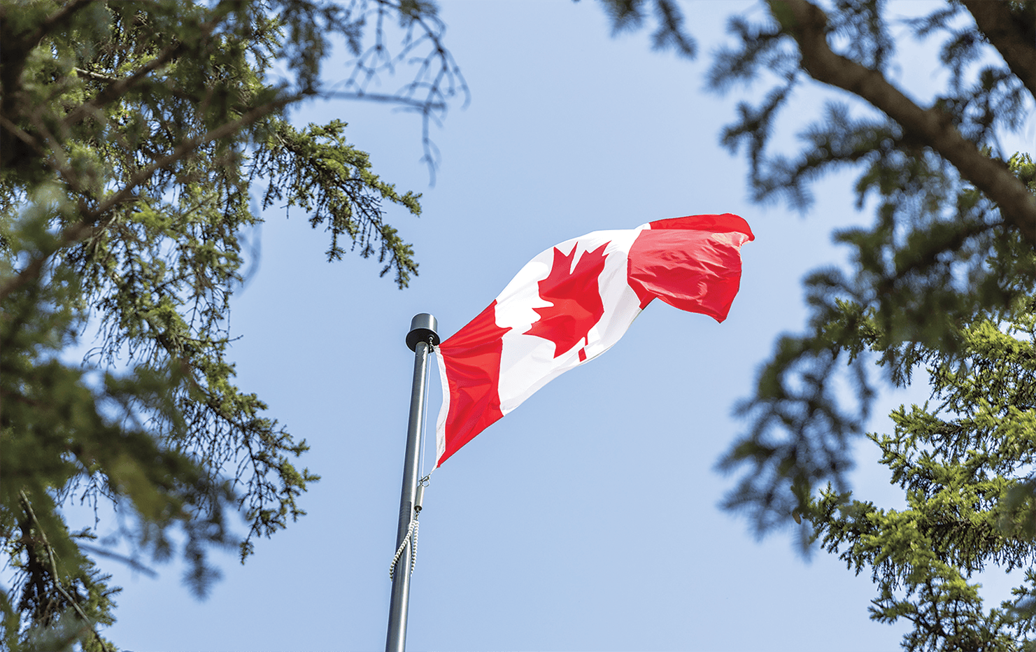 Drapeau canadien