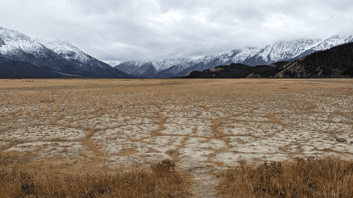 Le glacier Kaskawulsh au Yukon a tellement fondu qu’en 2016 que les eaux de sa fonte ont emprunté une voie différente et ont pratiquement arrêté d’alimenter le lac Kluane, asséchant ce qui était auparavant la rivière Slims.
